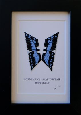 Horniman's Swallow Tail by Lene Bladbjerg