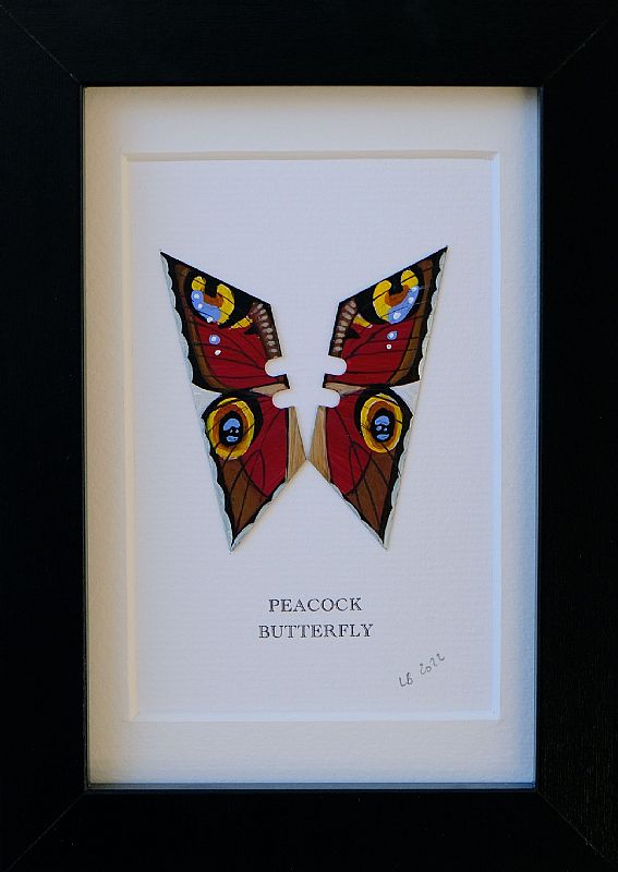 Peacock by Lene Bladbjerg