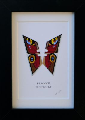 Peacock by Lene Bladbjerg
