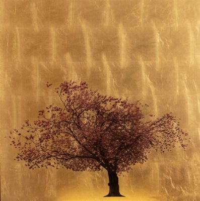 Prunus Serrulata VI by Robert Pereira Hind