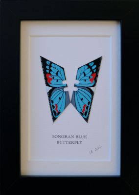 Sonoran Blue by Lene Bladbjerg