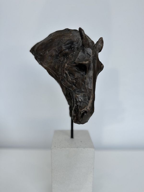 Thiqa Horsehead by Rachel Stormonth-Darling