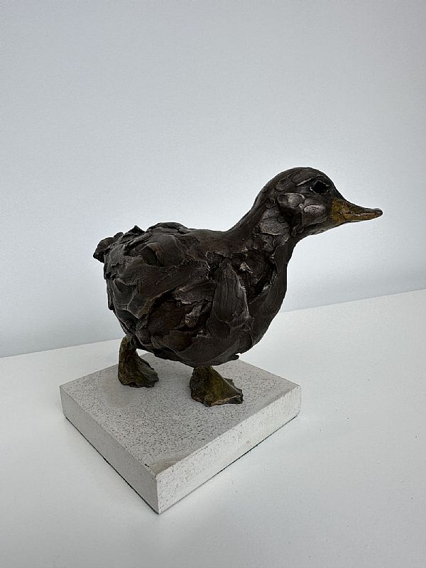 Duck II by Rachel Stormonth-Darling