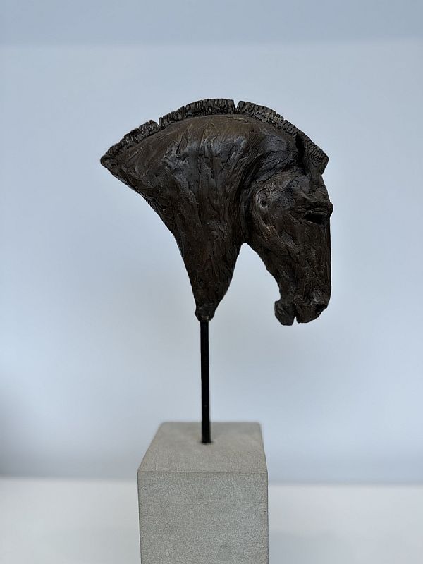 Aura Horsehead by Rachel Stormonth-Darling