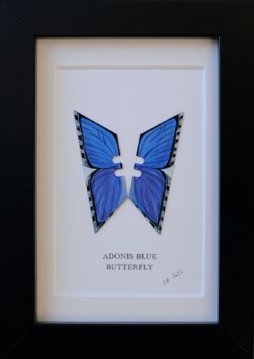 Adonis Blue by Lene Bladbjerg