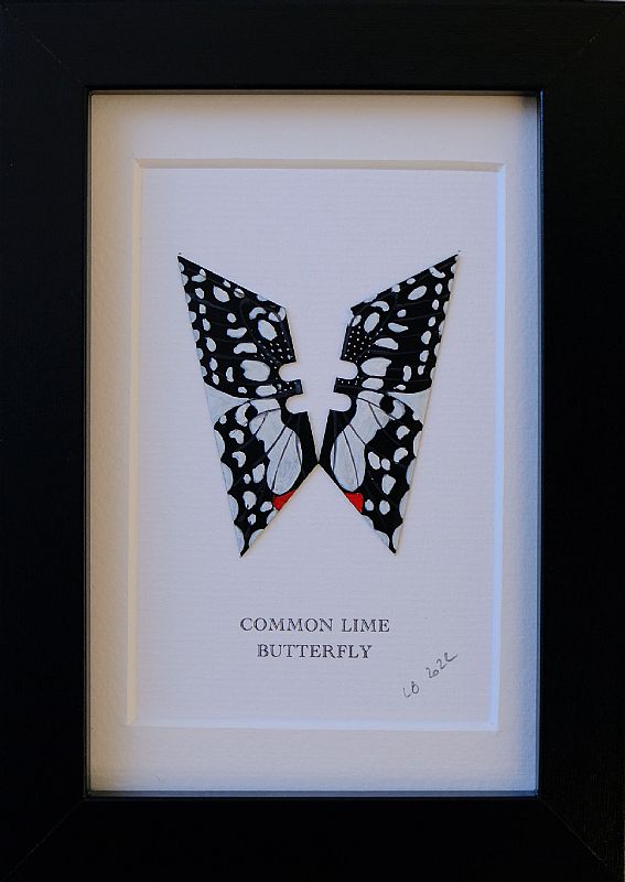 Common Lime by Lene Bladbjerg
