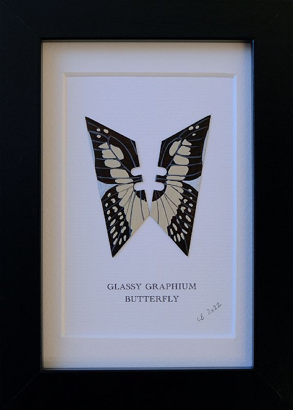 Glassy Graphium by Lene Bladbjerg