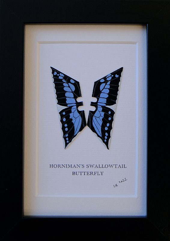 Horniman's Swallow Tail by Lene Bladbjerg