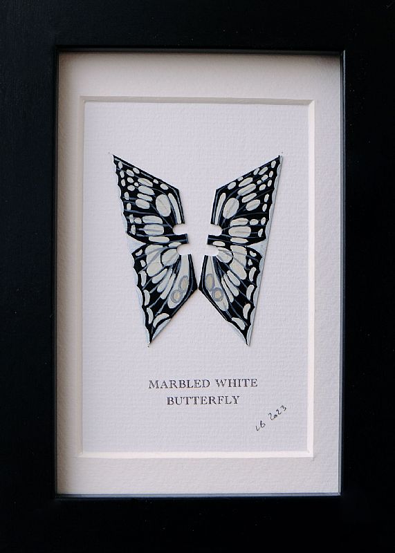 Marbled White by Lene Bladbjerg