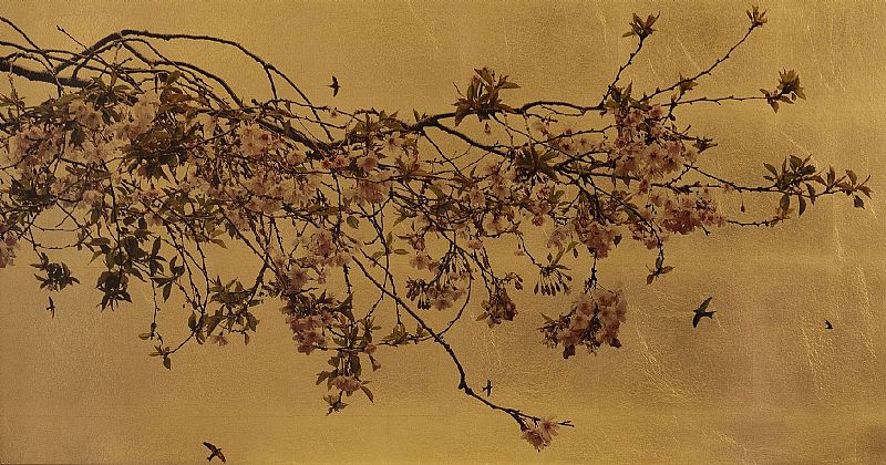 Robert Pereira Hind - Prunus Accolade in Excelsis