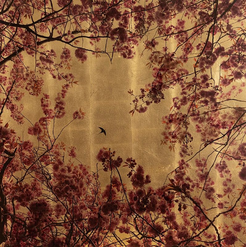 Prunus Detail by Robert Pereira Hind