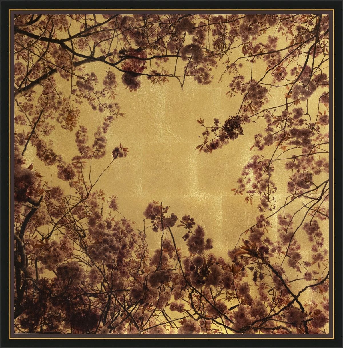 Prunus Detail IV by Robert Pereira Hind