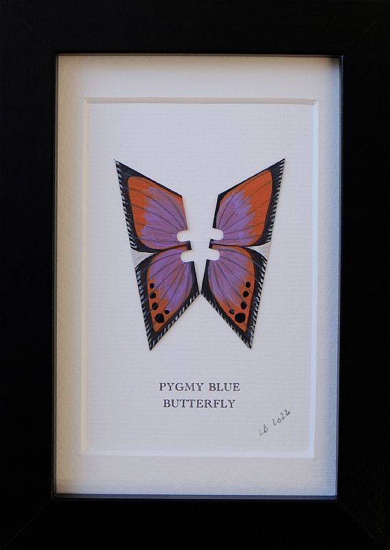 Pygmy Blue by Lene Bladbjerg