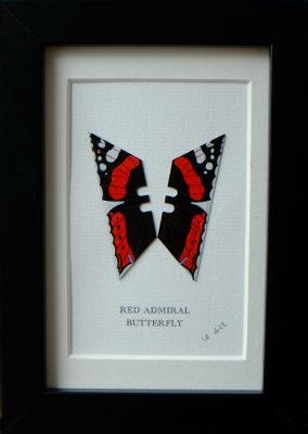 Red Admiral by Lene Bladbjerg