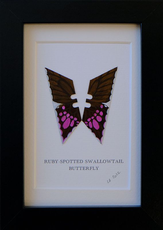 Lene Bladbjerg - Ruby-Spotted Swallow Tail