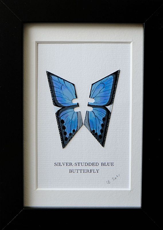Silver Studded Blue by Lene Bladbjerg