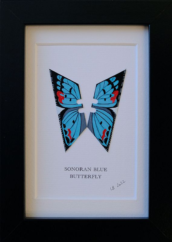 Sonoran Blue by Lene Bladbjerg
